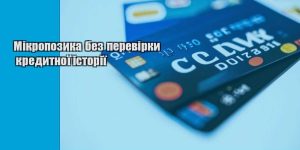 mikropozyka bez perevirky kredytnoyi istoriyi